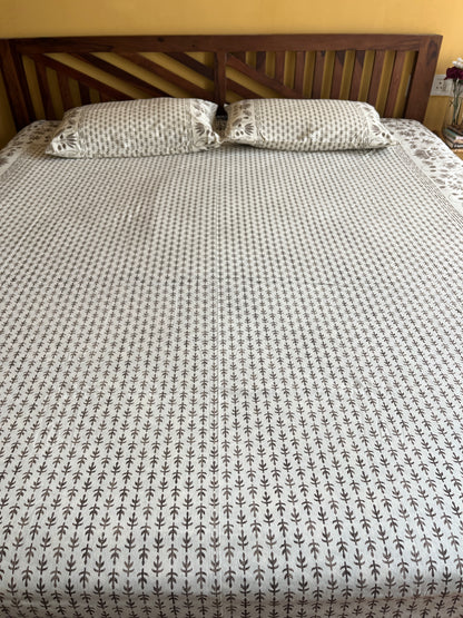 Earthen Whisper Cotton Queen Size Bedsheet with 2 Pillow Covers (90”*108”)